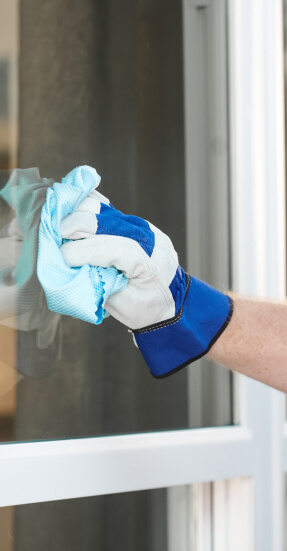 Replacement Windows 4